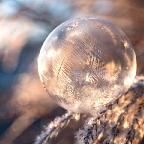 Dinsdag 20 december 2022: Lezing Winterzonnewende - Geboorte van het licht